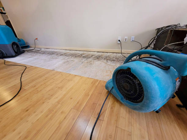 Professional Water Damage Repair technician working in Rockland, DE